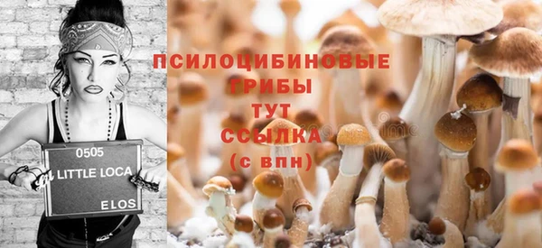 МДПВ Осинники